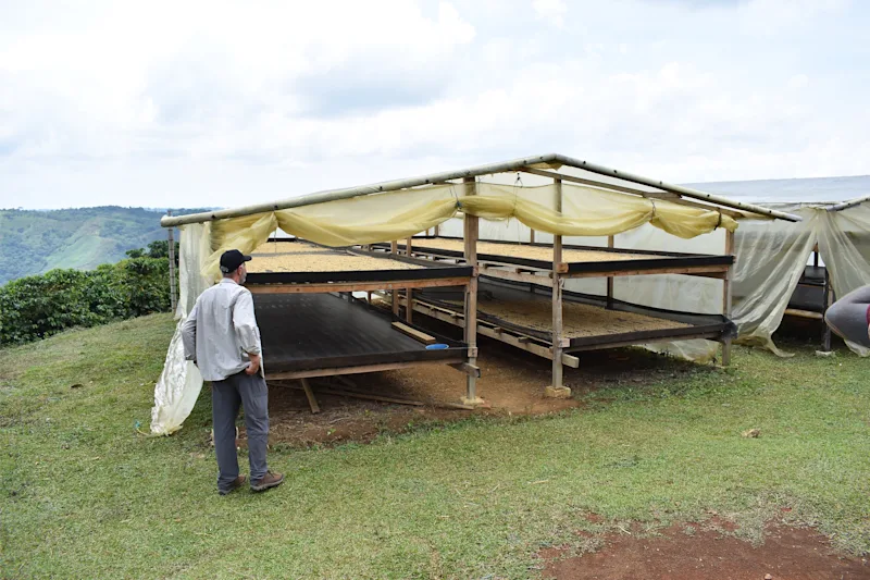 Pescador_drying_station