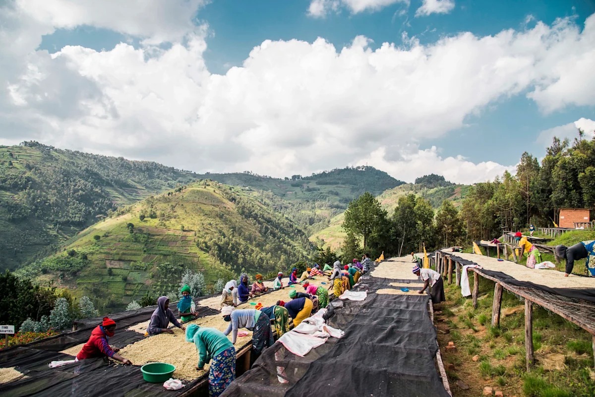 RAMBAKIRAGAWA_sorting2