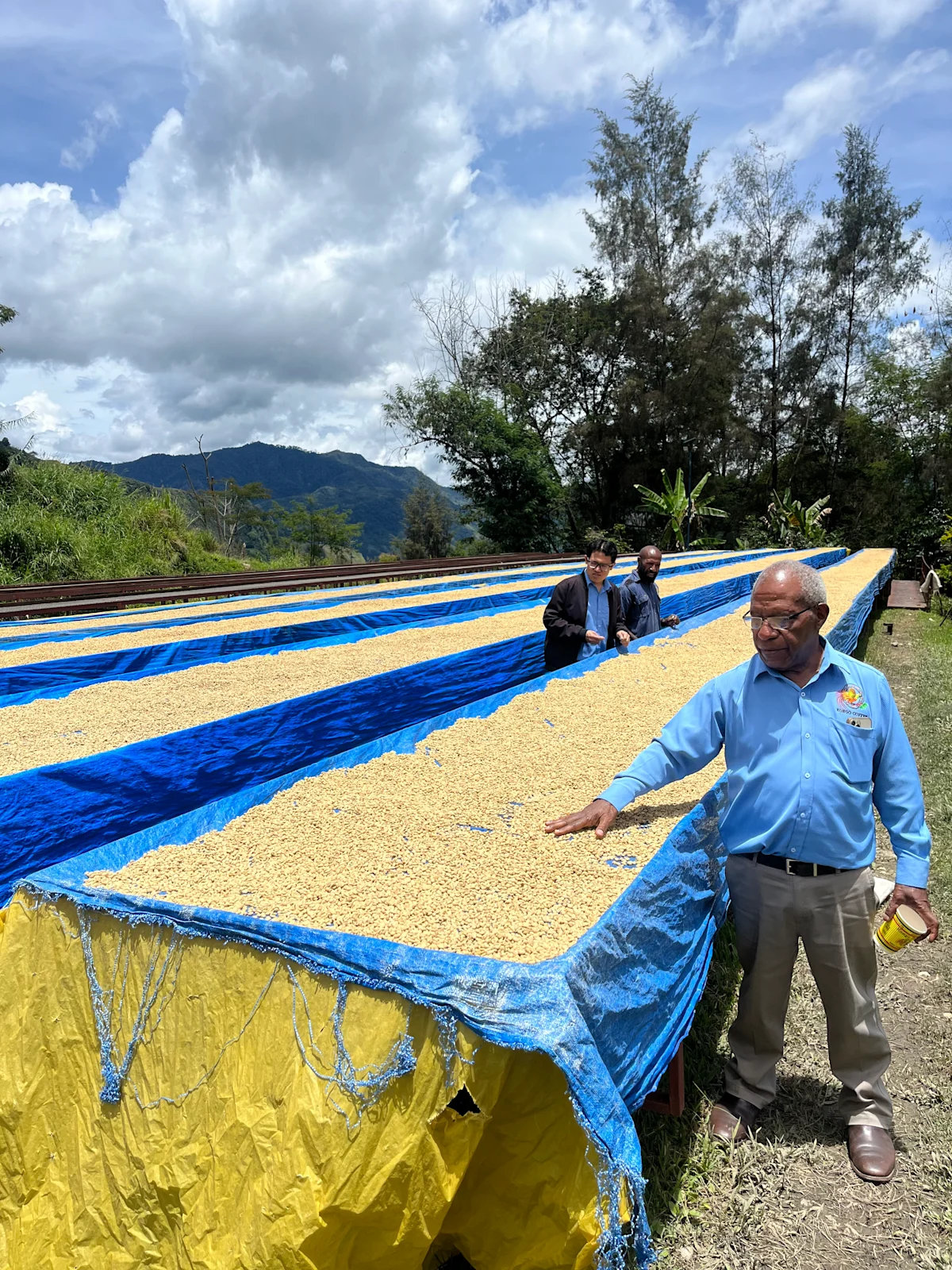 PNG_origintrip_processing/drying